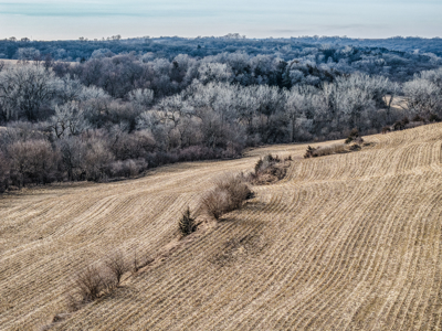 Prime Iowa Investment: 198+ Acre Hill Farm & Timberland - image 10