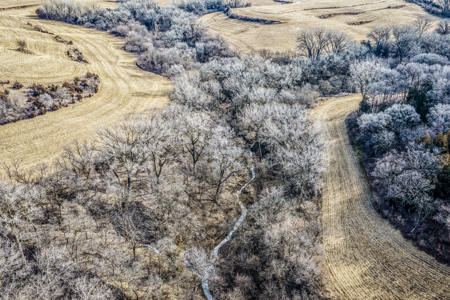 Prime Iowa Investment: 198+ Acre Hill Farm & Timberland - image 13