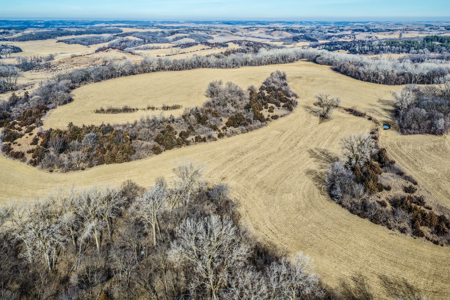 Prime Iowa Investment: 198+ Acre Hill Farm & Timberland - image 5