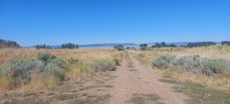 Land For Sale in New Pine Creek, California - image 3