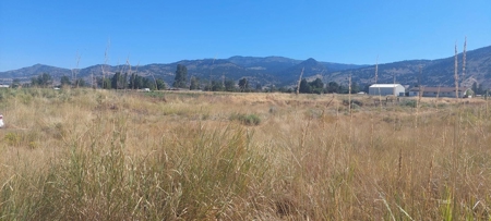 Land For Sale in New Pine Creek, California - image 1