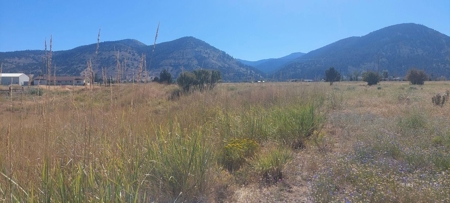 Land For Sale in New Pine Creek, California - image 2