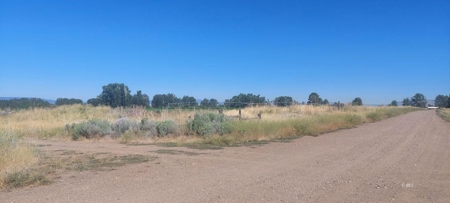 Land For Sale in New Pine Creek, California - image 4