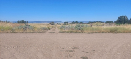 Land For Sale in New Pine Creek, California - image 5