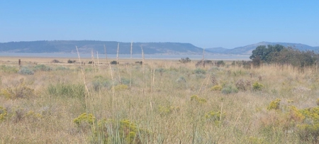 Land For Sale in New Pine Creek, California - image 10