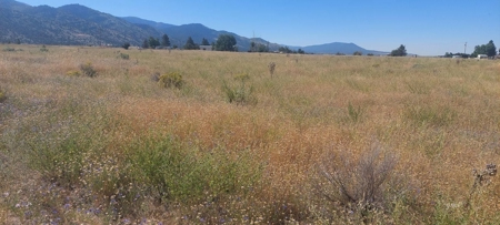 Land For Sale in New Pine Creek, California - image 7