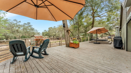 Equine Property near Clarcona Horse Park and WOT in Apopka, FL - image 27