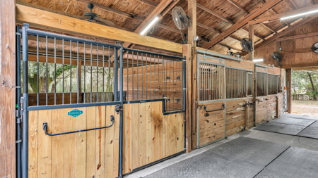 Equine Property near Clarcona Horse Park and WOT in Apopka, FL - image 39