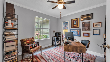 Equine Property near Clarcona Horse Park and WOT in Apopka, FL - image 12