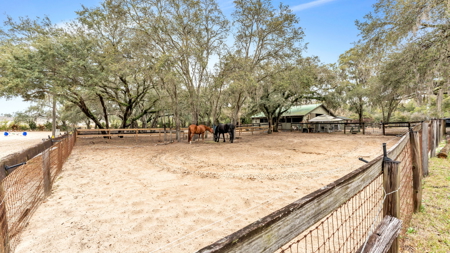 Equine Property near Clarcona Horse Park and WOT in Apopka, FL - image 31