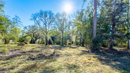 High-Density Development Opportunity For Sale in Live Oak, FL - image 19