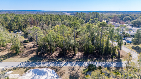 High-Density Development Opportunity For Sale in Live Oak, FL - image 28