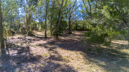 High-Density Development Opportunity For Sale in Live Oak, FL - image 21