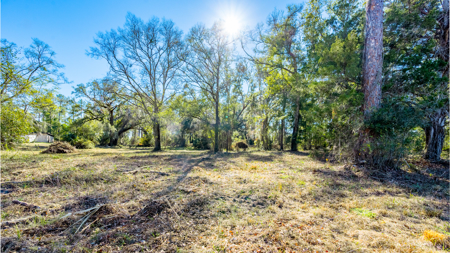 High-Density Development Opportunity For Sale in Live Oak, FL - image 16
