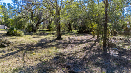 High-Density Development Opportunity For Sale in Live Oak, FL - image 22