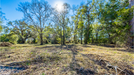 High-Density Development Opportunity For Sale in Live Oak, FL - image 17