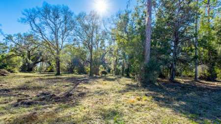 High-Density Development Opportunity For Sale in Live Oak, FL - image 20