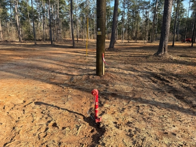 King Estates Lot 6: 10-Acre Wooded Homesite in Ruston, LA - image 3