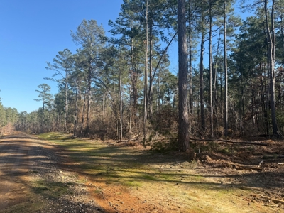 King Estates Lot 6: 10-Acre Wooded Homesite in Ruston, LA - image 1