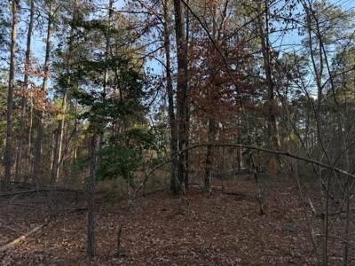 King Estates Lot 6: 10-Acre Wooded Homesite in Ruston, LA - image 6