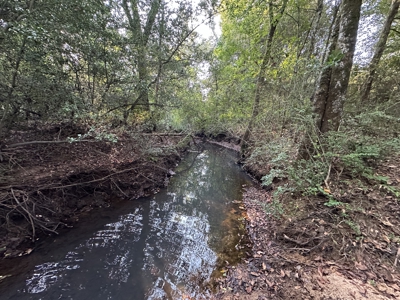 East Texas Hunting/Recreational Land For Sale - image 19