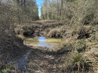 East Texas Hunting/Recreational Land For Sale - image 14