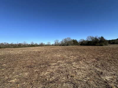 East Texas Hunting/Recreational Land For Sale - image 6