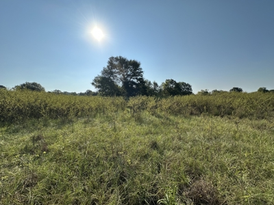 East Texas Hunting/Recreational Land For Sale - image 22