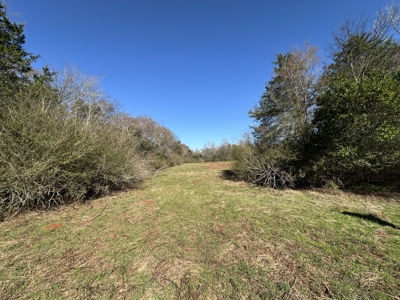 East Texas Hunting/Recreational Land For Sale - image 9