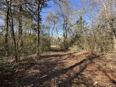 East Texas Hunting/Recreational Land For Sale - image 10