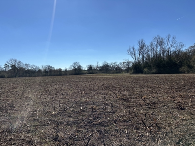 East Texas Hunting/Recreational Land For Sale - image 16