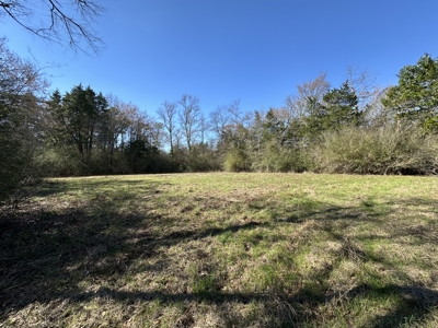 East Texas Hunting/Recreational Land For Sale - image 8