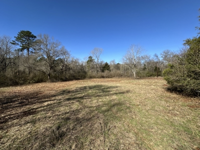 East Texas Hunting/Recreational Land For Sale - image 11