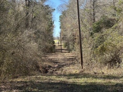 East Texas Hunting/Recreational Land For Sale - image 12