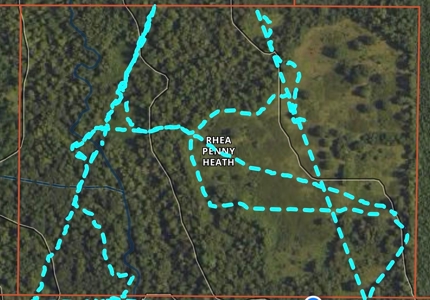 East Texas Hunting/Recreational Land For Sale - image 18