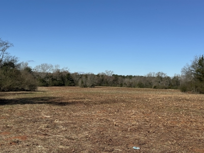 East Texas Hunting/Recreational Land For Sale - image 2
