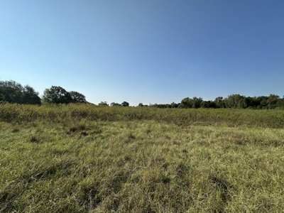 East Texas Hunting/Recreational Land For Sale - image 21
