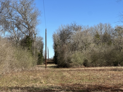 East Texas Hunting/Recreational Land For Sale - image 13