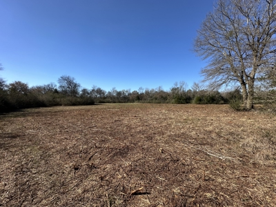 East Texas Hunting/Recreational Land For Sale - image 5