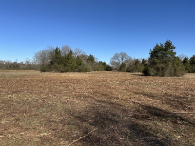 East Texas Hunting/Recreational Land For Sale - image 4