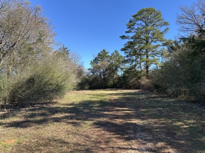 East Texas Hunting/Recreational Land For Sale - image 1