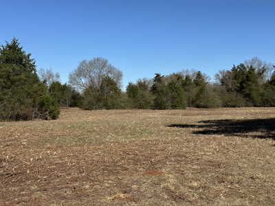 East Texas Hunting/Recreational Land For Sale - image 3