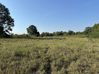 East Texas Hunting/Recreational Land For Sale - image 20