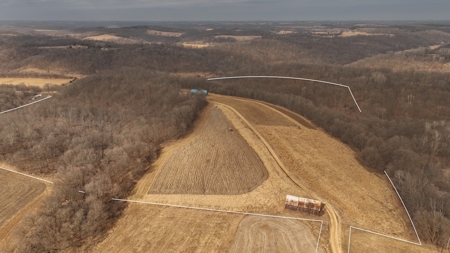 Blufftop Whitetail Estate – 39.21 Acres with Log Home & Whitetail - image 3