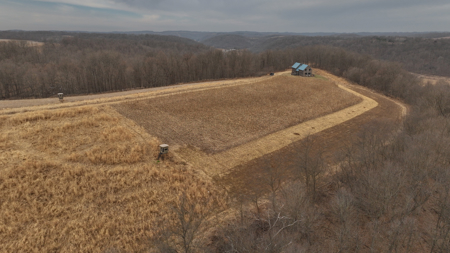 Blufftop Whitetail Estate – 39.21 Acres with Log Home & Whitetail - image 36