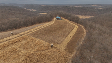 Blufftop Whitetail Estate – 39.21 Acres with Log Home & Whitetail - image 47