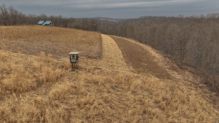 Blufftop Whitetail Estate – 39.21 Acres with Log Home & Whitetail - image 37