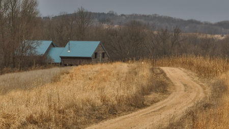 Blufftop Whitetail Estate – 39.21 Acres with Log Home & Whitetail - image 6