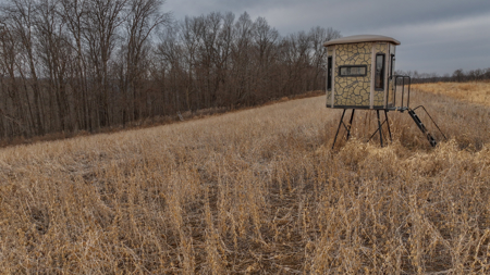 Blufftop Whitetail Estate – 39.21 Acres with Log Home & Whitetail - image 40