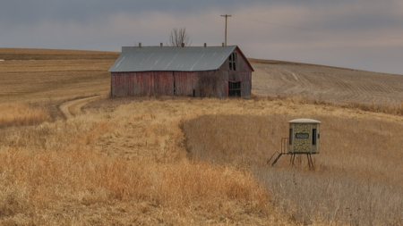 Blufftop Whitetail Estate – 39.21 Acres with Log Home & Whitetail - image 35